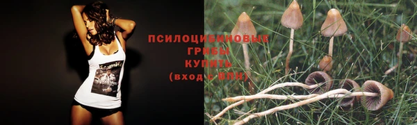 первитин Покачи