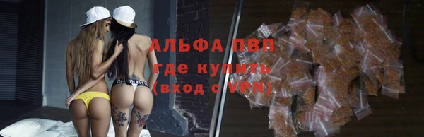 спайс Пересвет