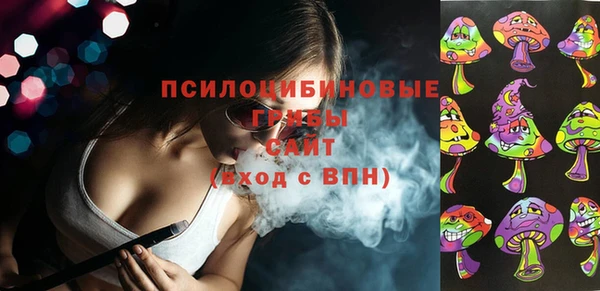 мет Пестово