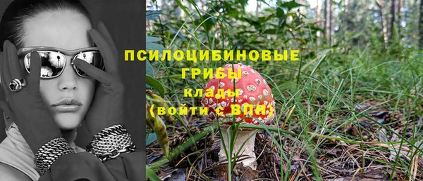 бошки Переславль-Залесский