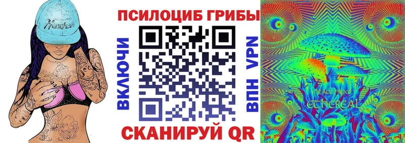 блэк спрут зеркало  Губаха  Псилоцибиновые грибы MAGIC MUSHROOMS 