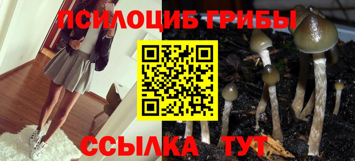 Губаха  Псилоцибиновые грибы мицелий  Вход с VPN 