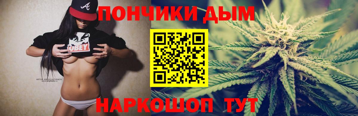 Конопля Bruce Banner  Каннабис план  Каннабис конопля  Губаха  МАРИХУАНА сатива 